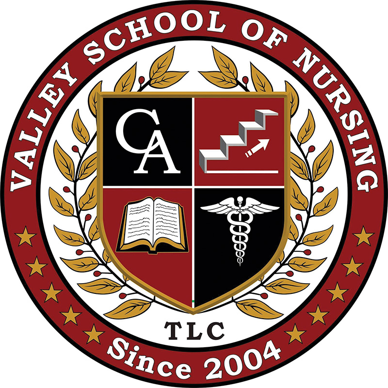 Valley School of Nursing_Logo